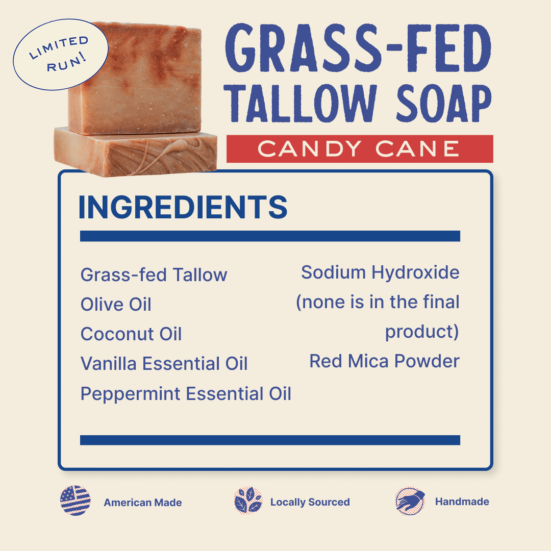 Papabear’s Grass-Fed Tallow Soap Bars – Non-Toxic Cold-Process Soap with Organic Essential Oils | Pumpkin Spice, Apple Cinnamon, Christmas Tree, Gingerbread & Candy Cane