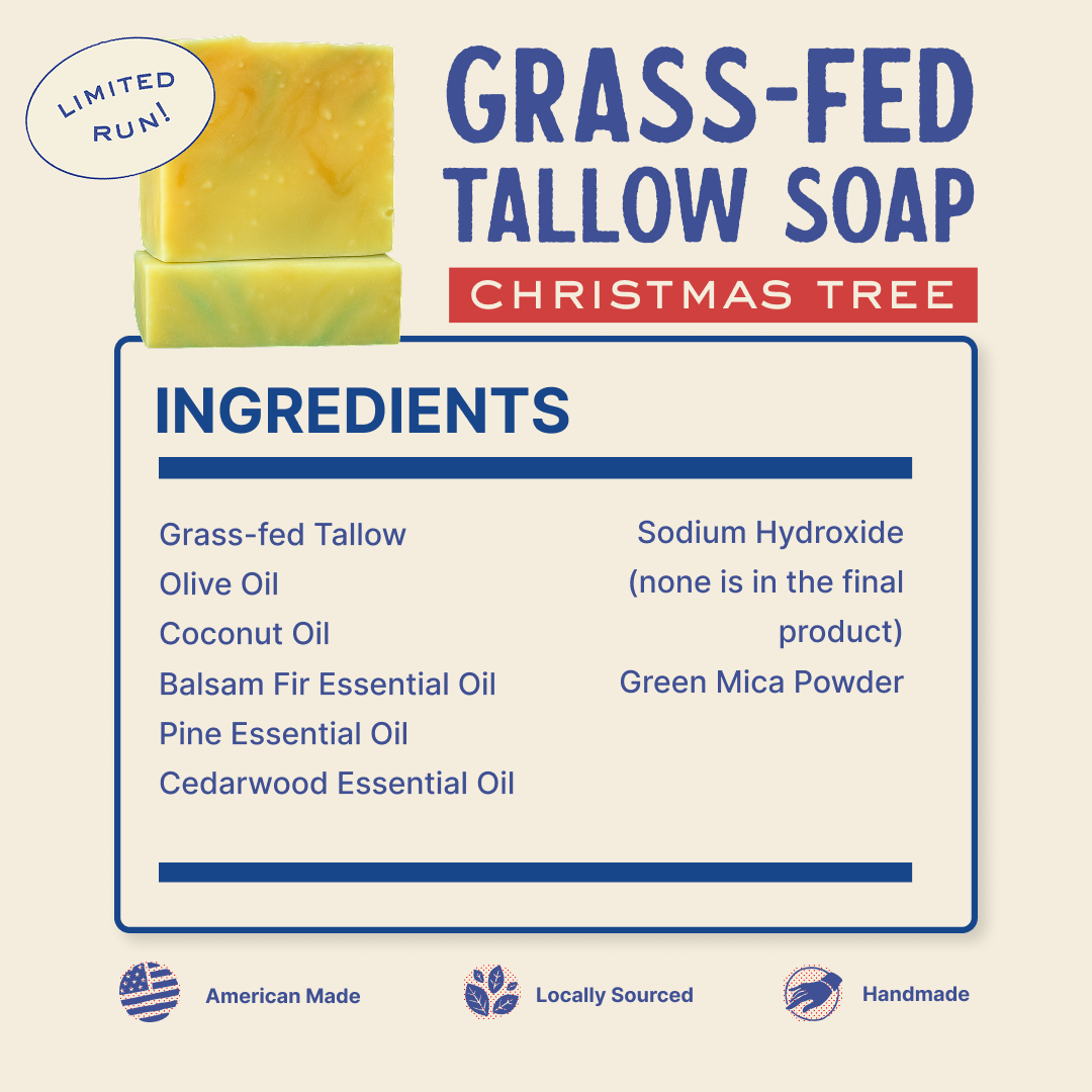 Papabear’s Grass-Fed Tallow Soap Bars – Non-Toxic Cold-Process Soap with Organic Essential Oils | Pumpkin Spice, Apple Cinnamon, Christmas Tree, Gingerbread & Candy Cane
