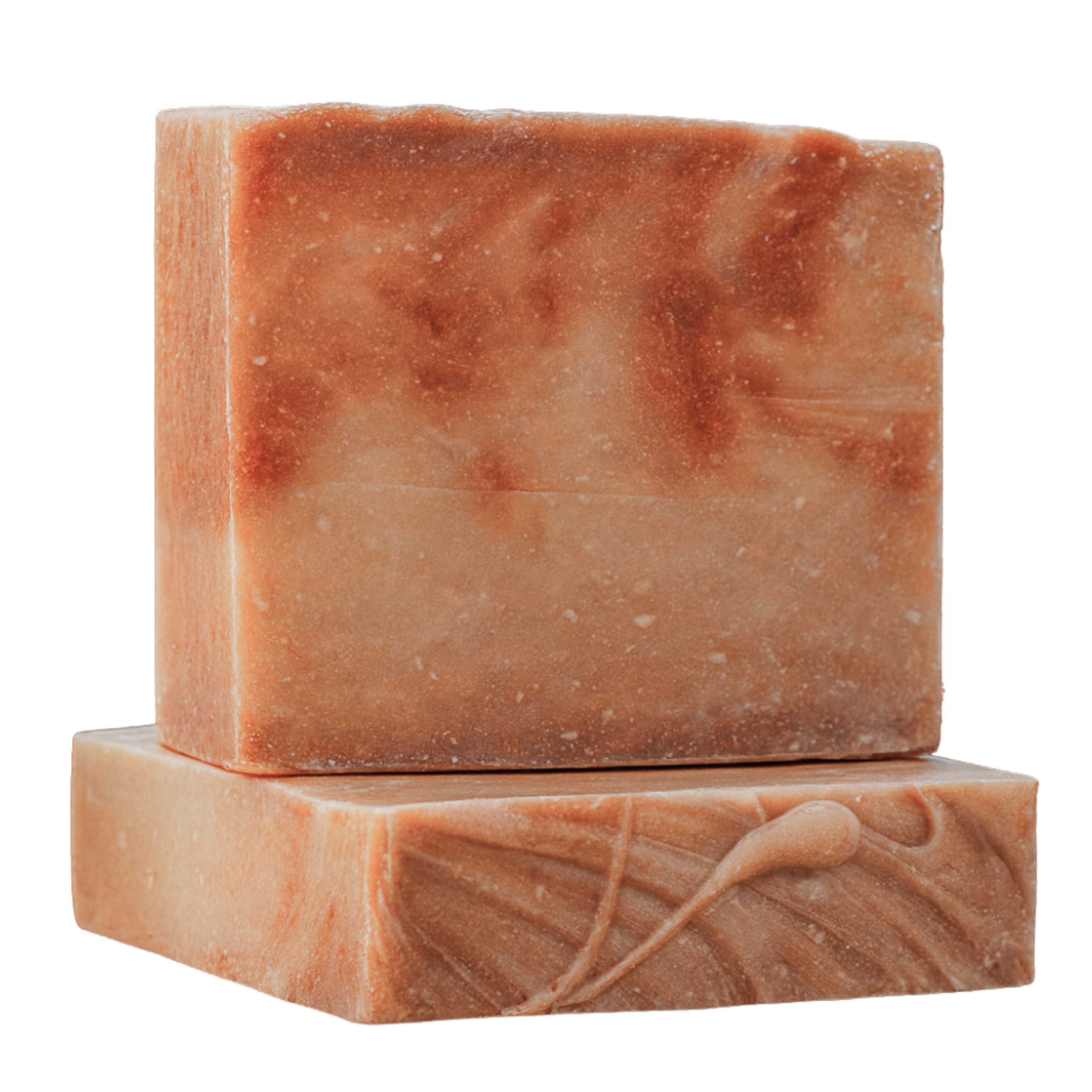 Papabear’s Grass-Fed Tallow Soap Bars – Non-Toxic Cold-Process Soap with Organic Essential Oils | Pumpkin Spice, Apple Cinnamon, Christmas Tree, Gingerbread & Candy Cane