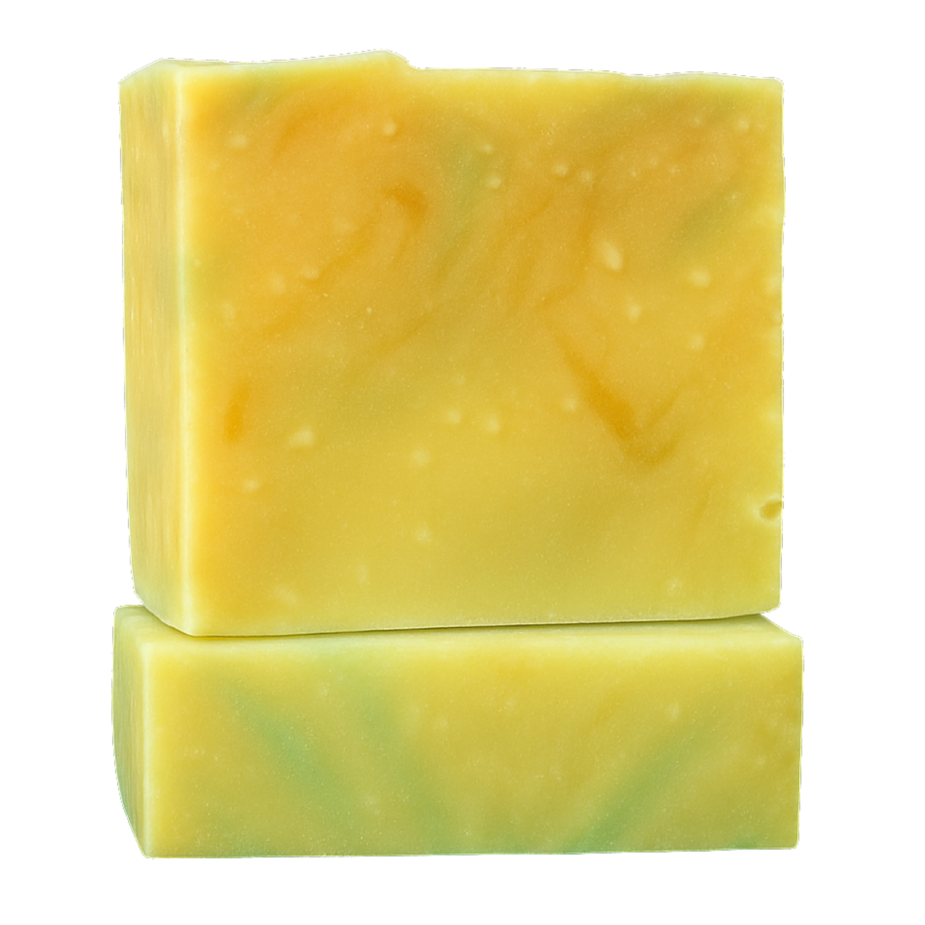 Papabear’s Grass-Fed Tallow Soap Bars – Non-Toxic Cold-Process Soap with Organic Essential Oils | Pumpkin Spice, Apple Cinnamon, Christmas Tree, Gingerbread & Candy Cane