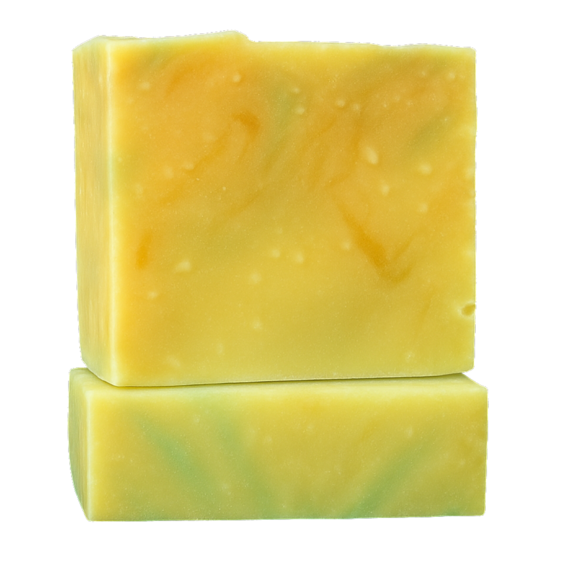 Papabear’s Grass-Fed Tallow Soap Bars – Non-Toxic Cold-Process Soap with Organic Essential Oils | Pumpkin Spice, Apple Cinnamon, Christmas Tree, Gingerbread & Candy Cane