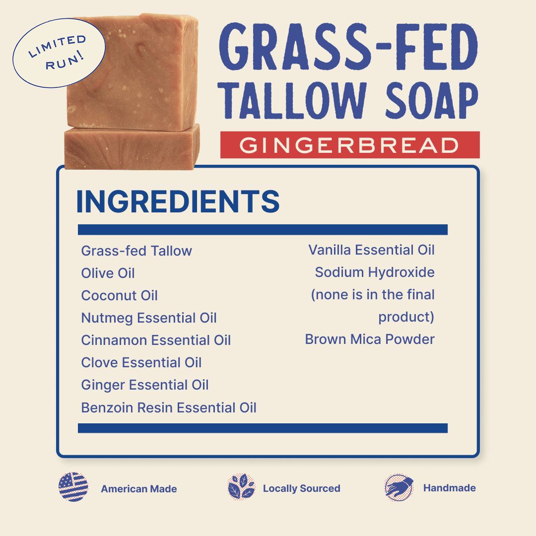 Papabear’s Grass-Fed Tallow Soap Bars – Non-Toxic Cold-Process Soap with Organic Essential Oils | Pumpkin Spice, Apple Cinnamon, Christmas Tree, Gingerbread & Candy Cane