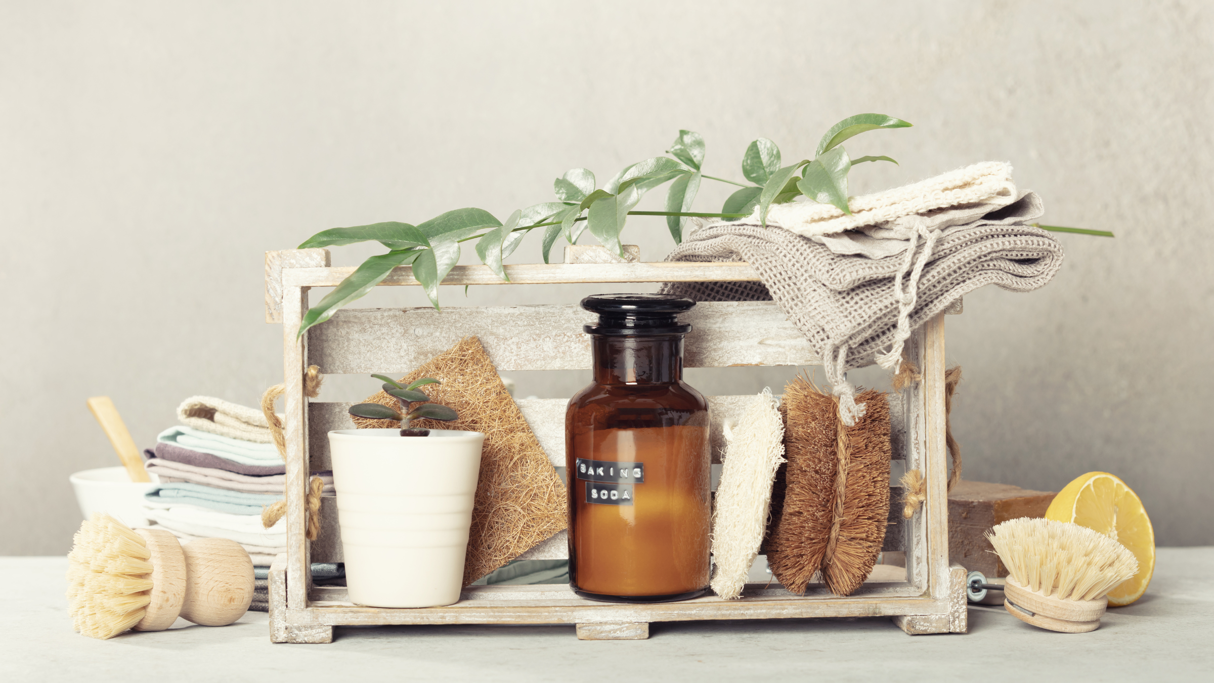Set of cleaning supplies including a bottle, sponges, and a plant on a wooden shelf.
